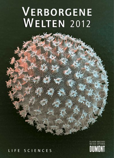 Verborgene Welten 2012 - zum Schließen ins Bild klicken