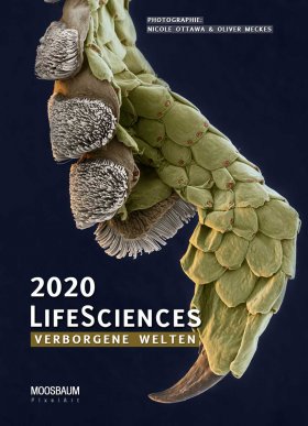 LifeSciences 2020