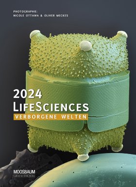 LifeSciences 2024