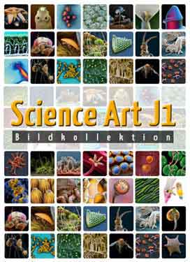 Science Art – J1 (12x Zoologie)