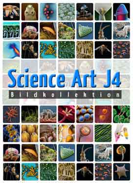 Science Art – J4 (14x Zellen und Gewebe) - zum Schließen ins Bild klicken