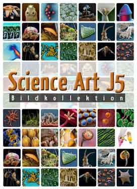 Science Art – J5 (16x Insekten) - zum Schließen ins Bild klicken