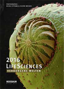 Beispiel Kunstdruck LifeSciences Kalender
