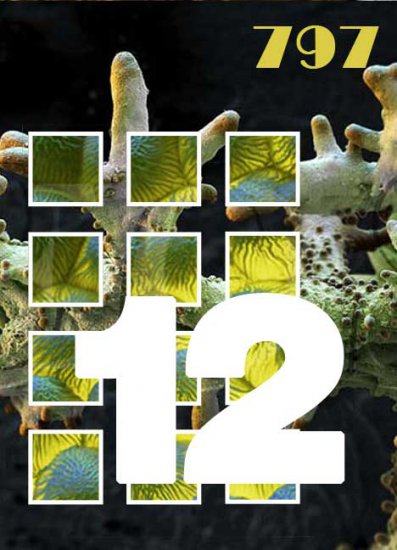 Jeu d'images 'botanique' no. 797 sur FirstBond (12 pièces) - Cliquez sur l'image pour la fermer