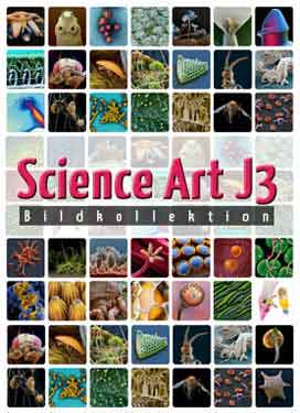 Science Art – J3 (16x Mikrobiologie)