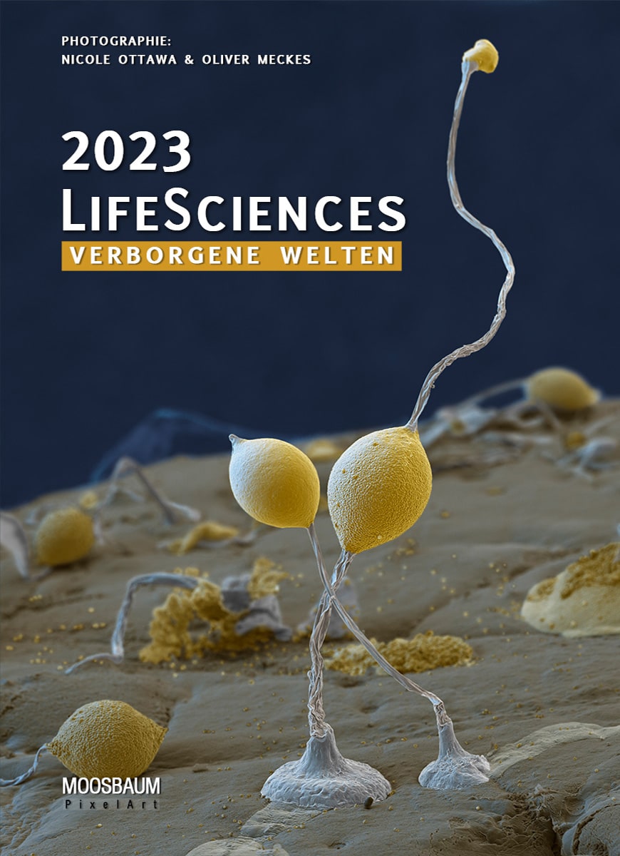 LifeSciences 2023